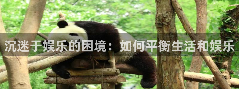 门徒娱乐app最新版本更新内容