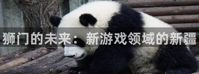 门徒娱乐下载